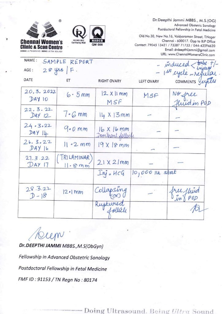 Follicular Study Report Analysis