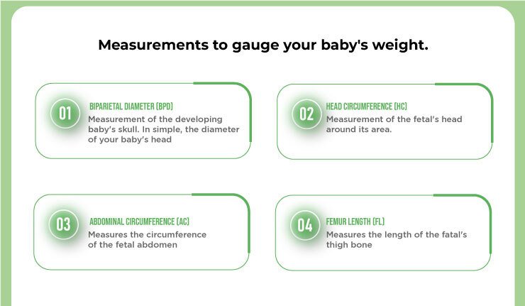 Measurement To Gauge Baby's Weight