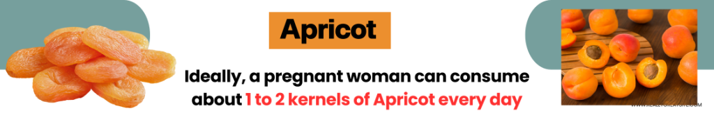 Apricot