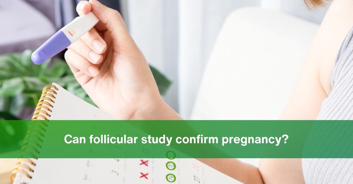 follicular study confirm pregnancy