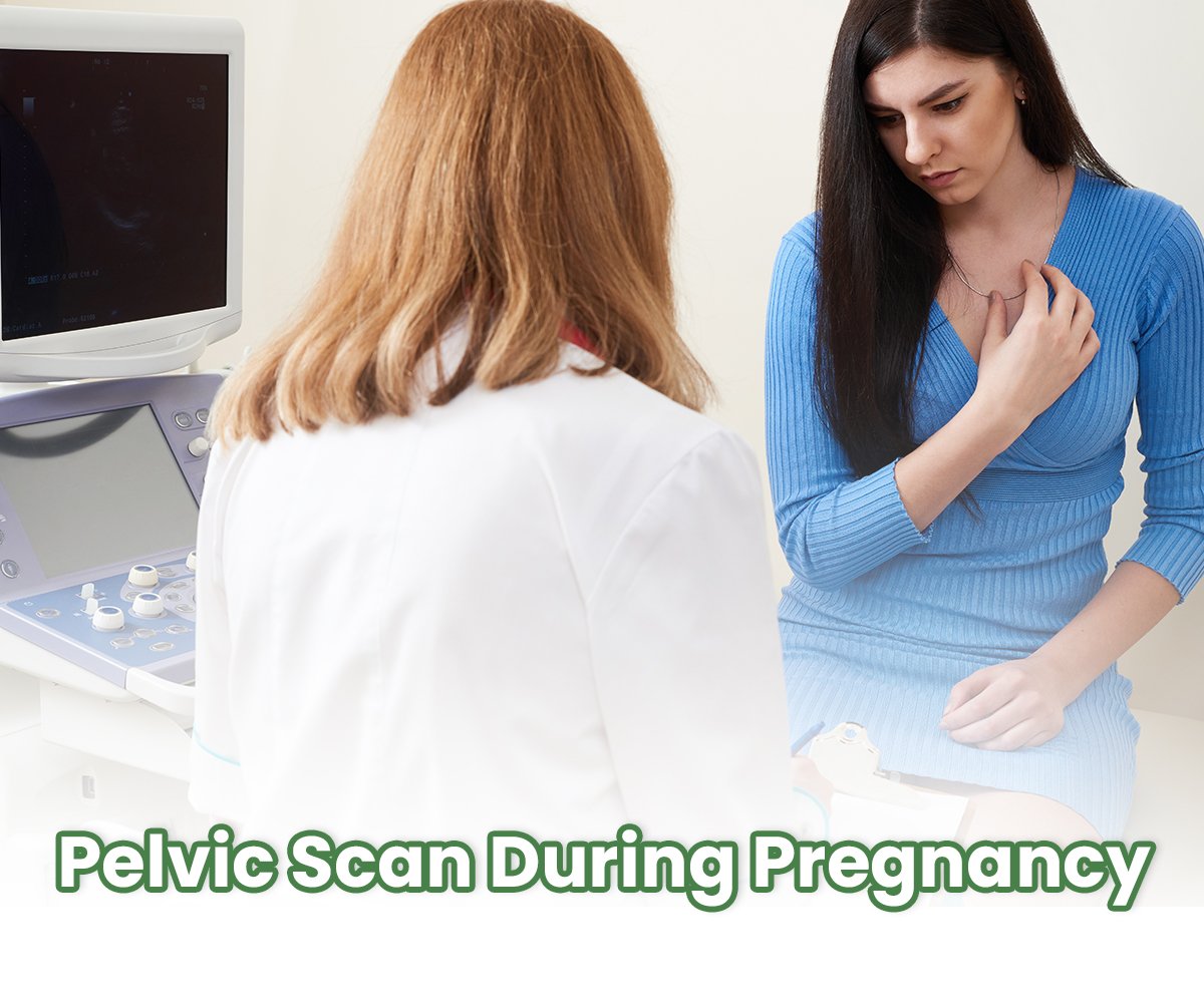 pelvic scan during pregnancy