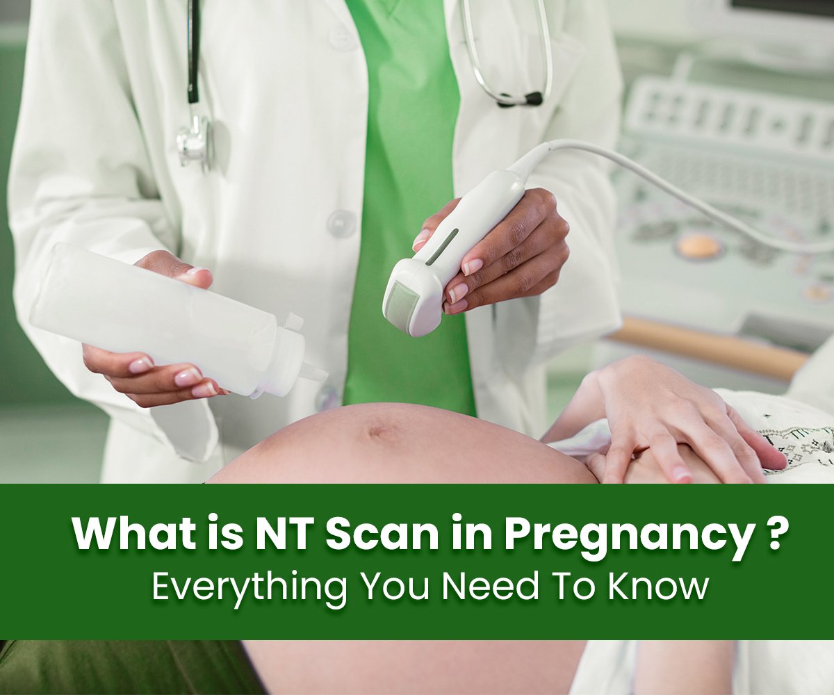 what is nt scan in pregnancy everything you need to know