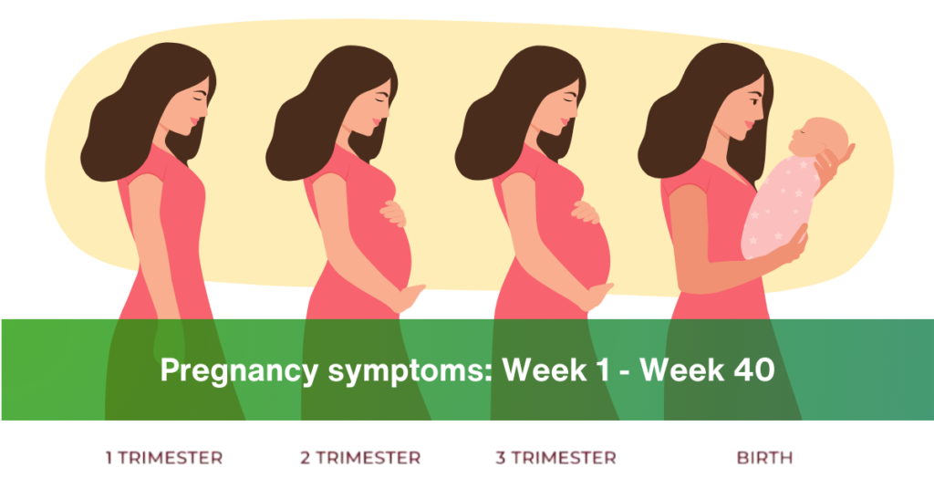 pregnancy symptoms week by week