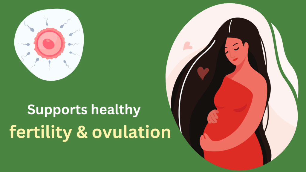 healthy fertility and ovulation