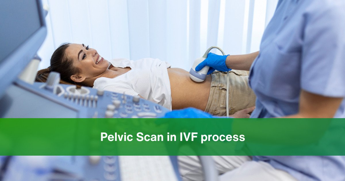 pelvic scan ivf process