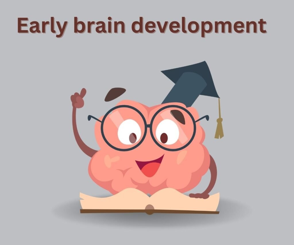 early brain development