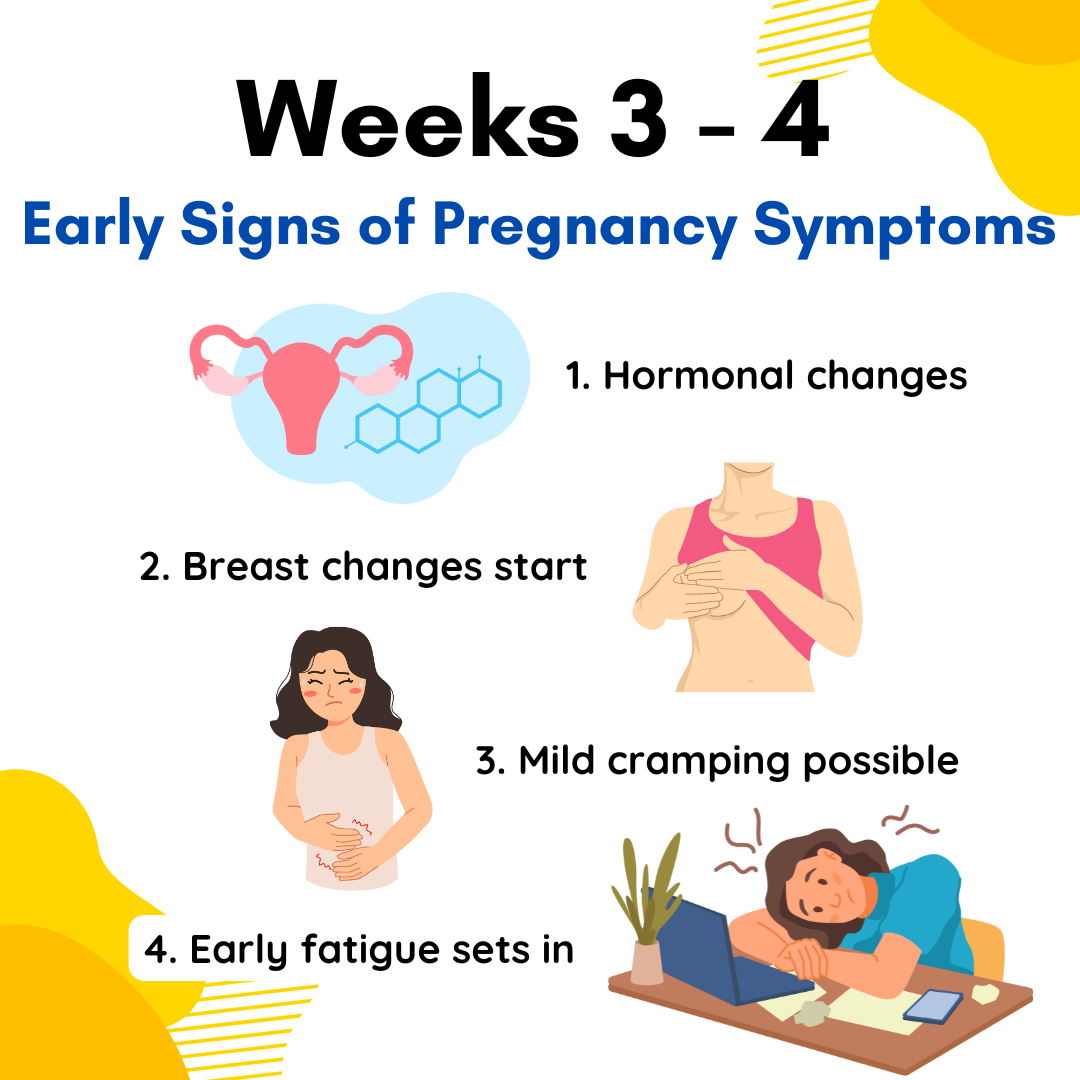 early pregnancy symptoms Weeks 3 - 4