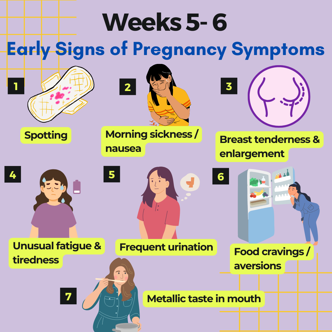 early pregnancy symptoms Weeks 5 - 6