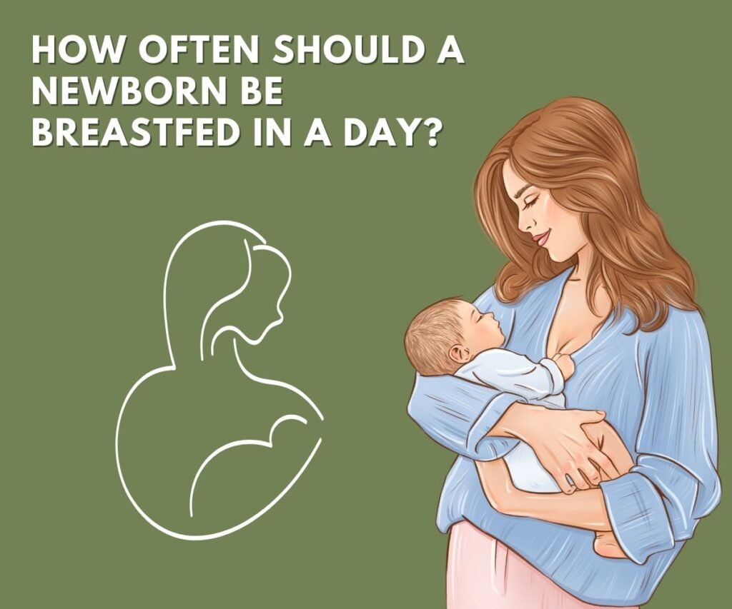 how often should a newborn be breastfed