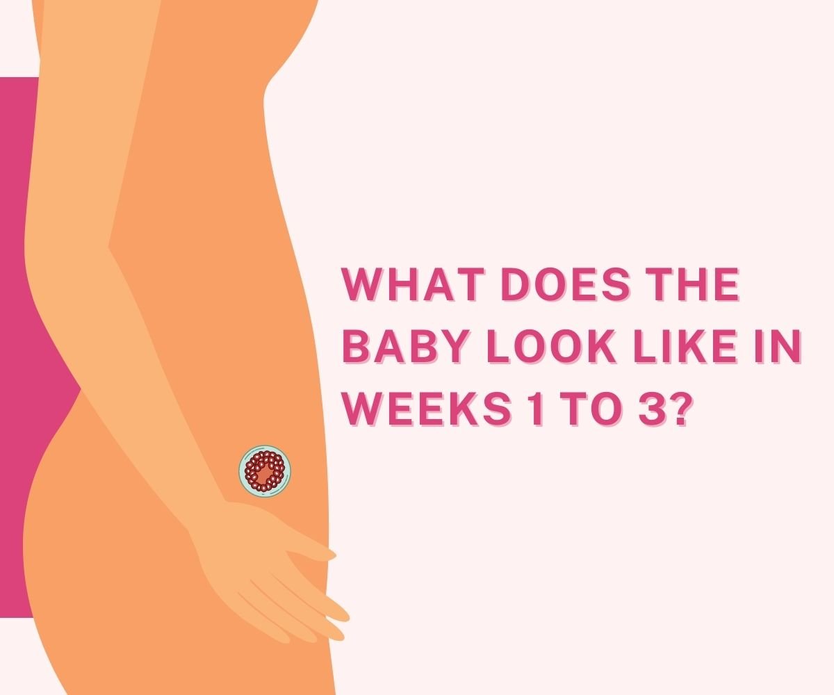 what does a baby look like in 1-3 weeks