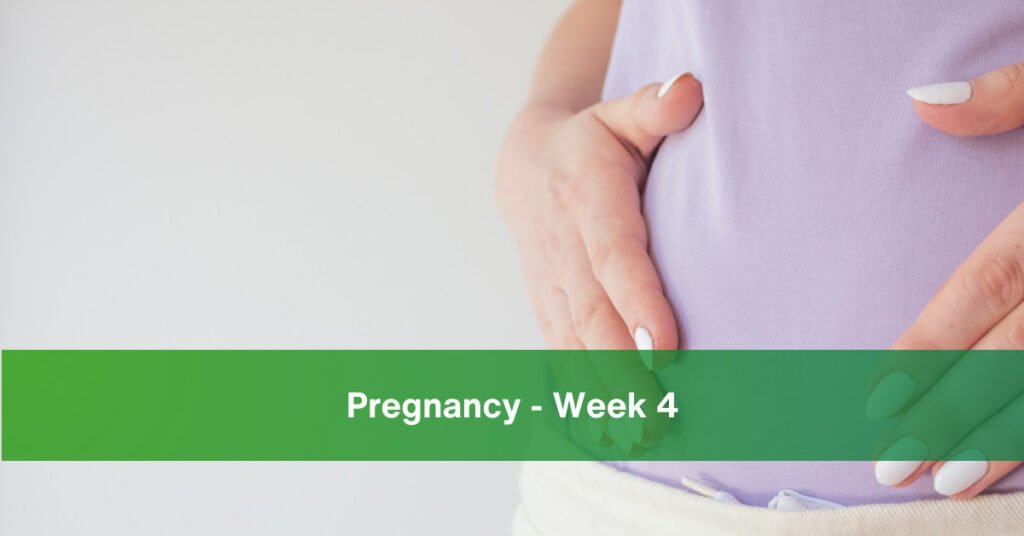 week 4 pregnancy