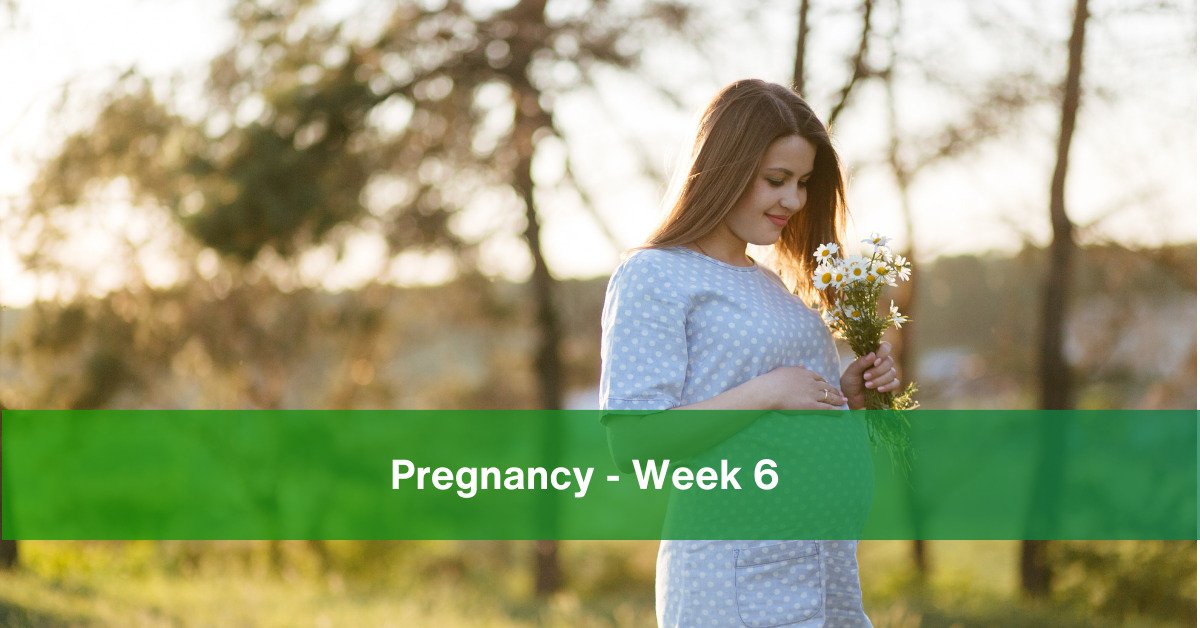 Pregnancy week 6