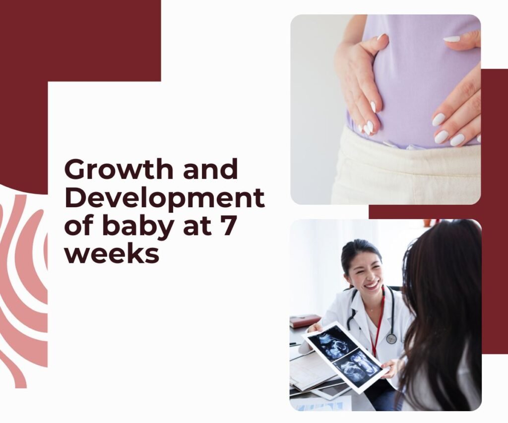 growth and development of baby at 7 weeks