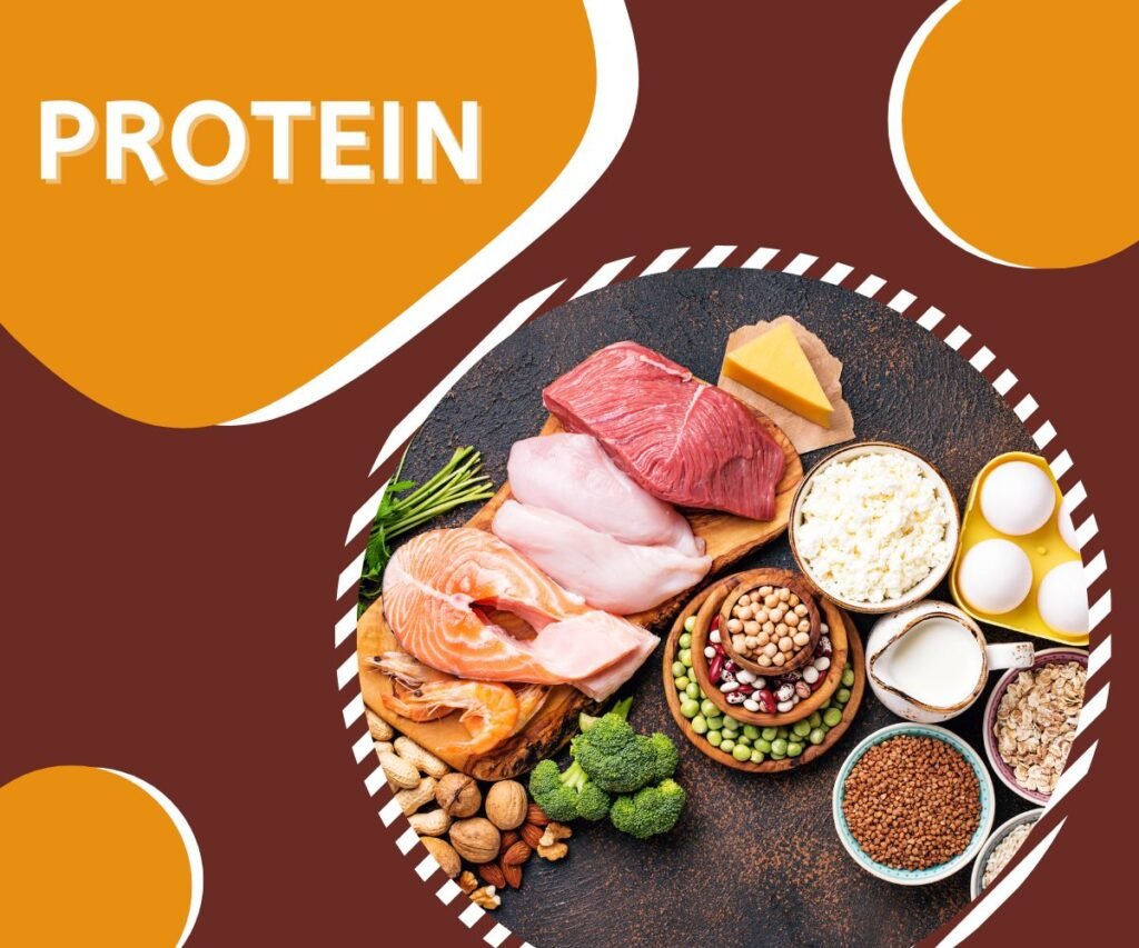 protein intake