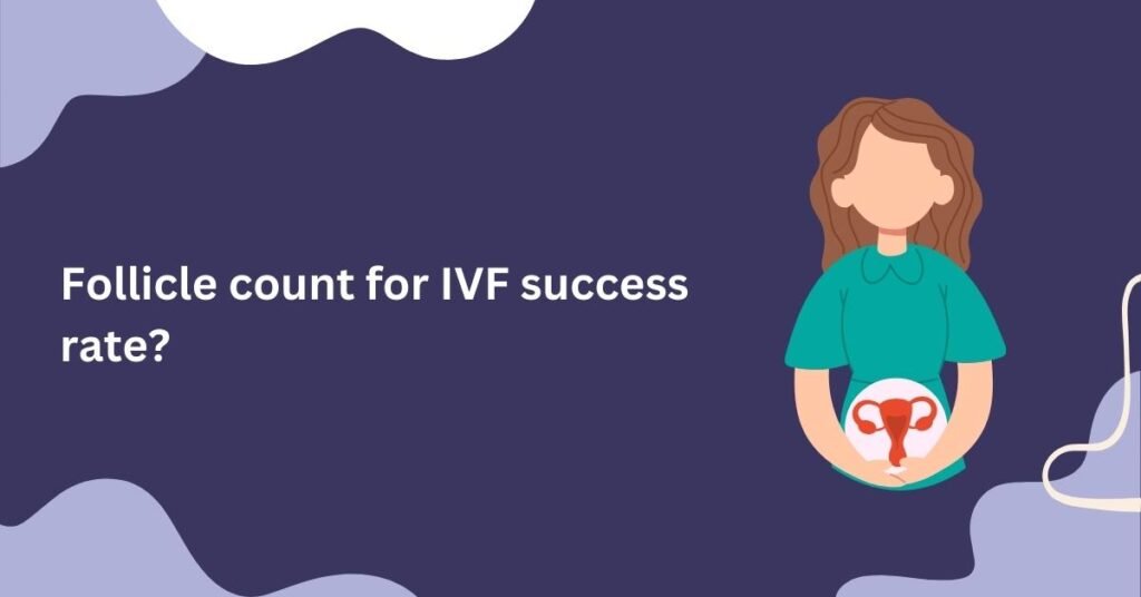 follicle count for ivf success