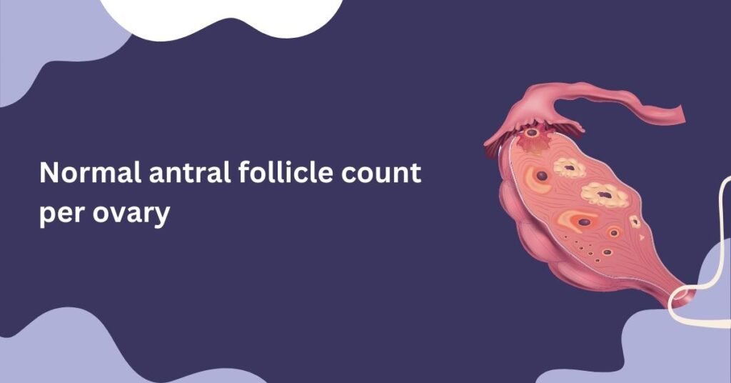 normal antral follicle count per ovary