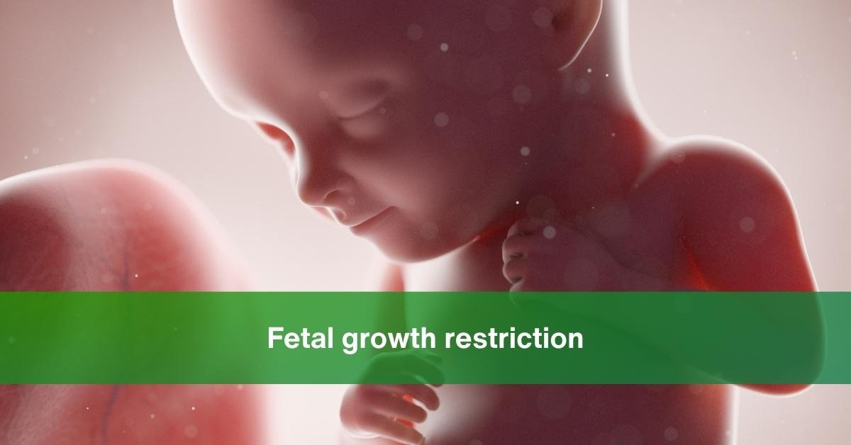 fetal growth restriction - banner