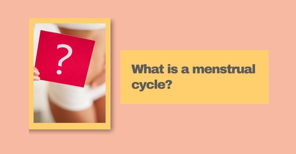 what is a menstrual cycle