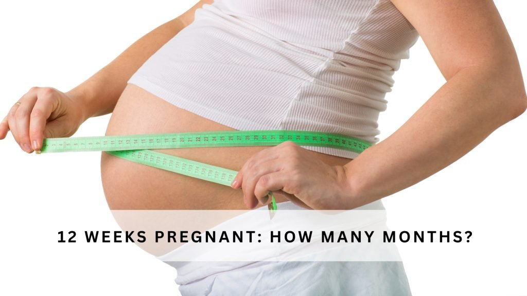 12 weeks pregnant how many months