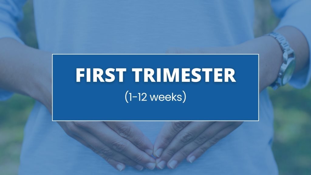 1st trimester (1-2 weeks)