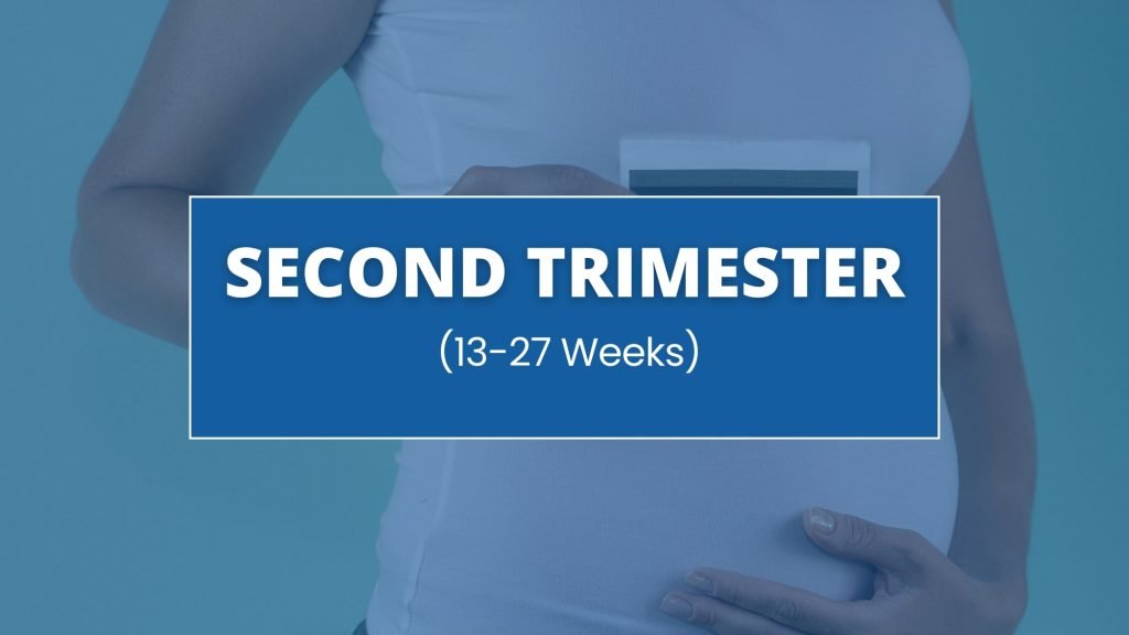 2nd trimester (13-27 weeks)