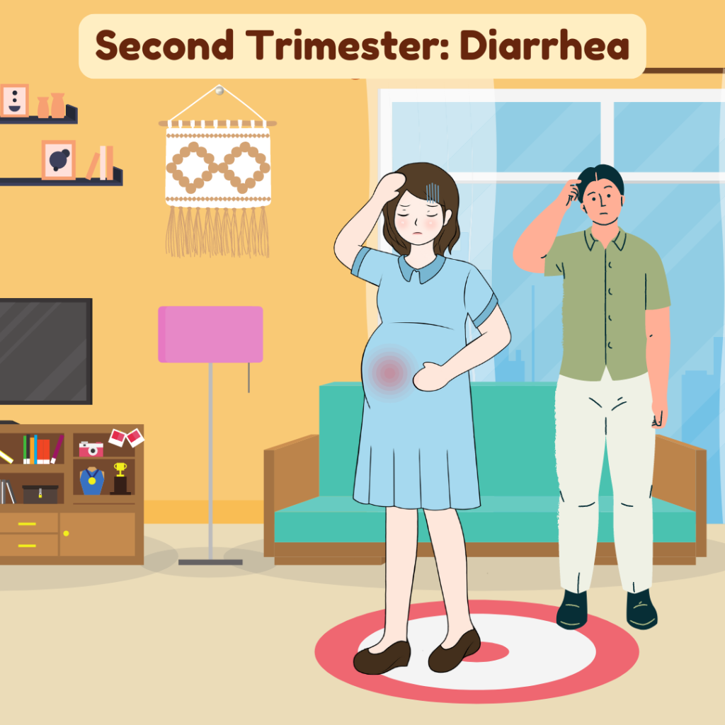 Second Trimester Diarrhea