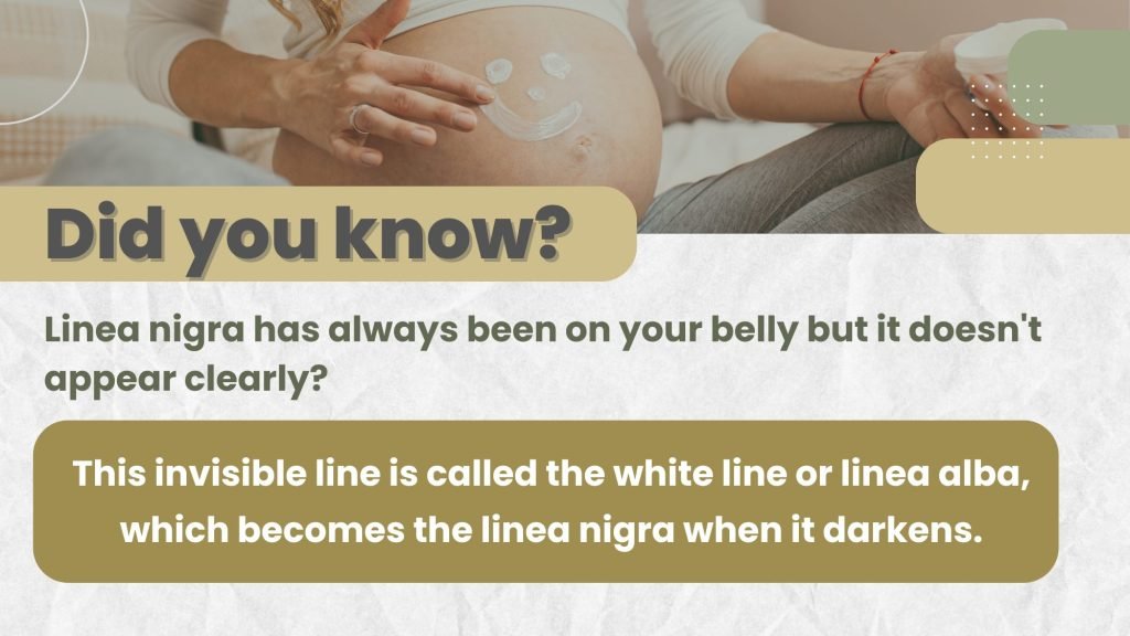 linea nigra is always on your belly