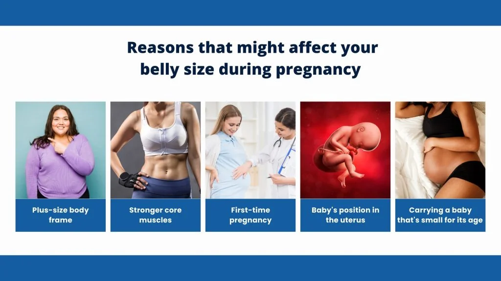 reasons that must affect your belly size during pregnancy