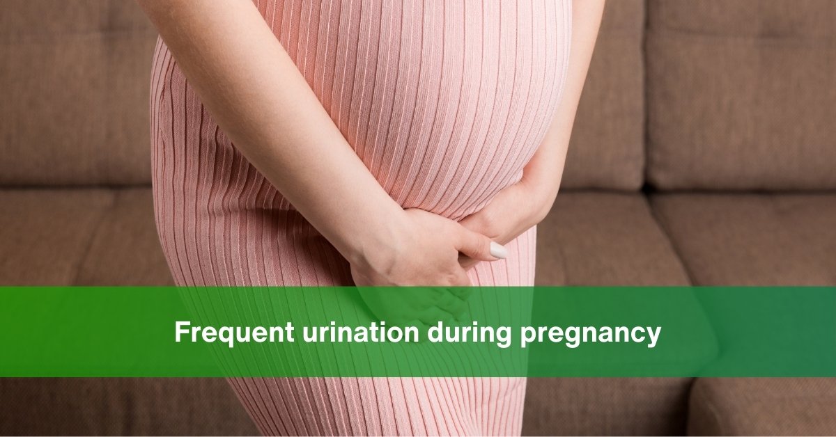 frequent urination during pregnancy