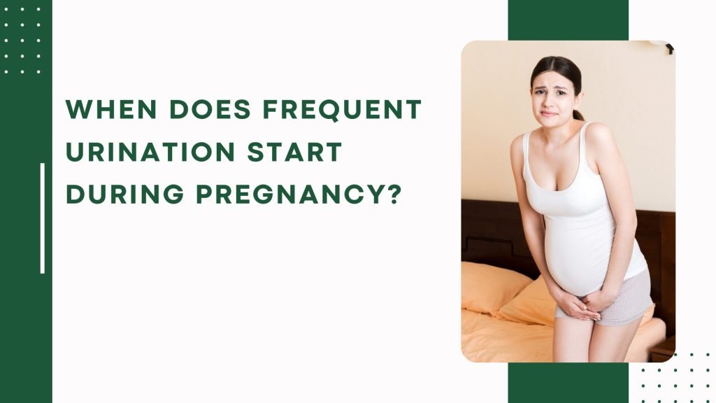 When does frequent urination start during pregnancy?