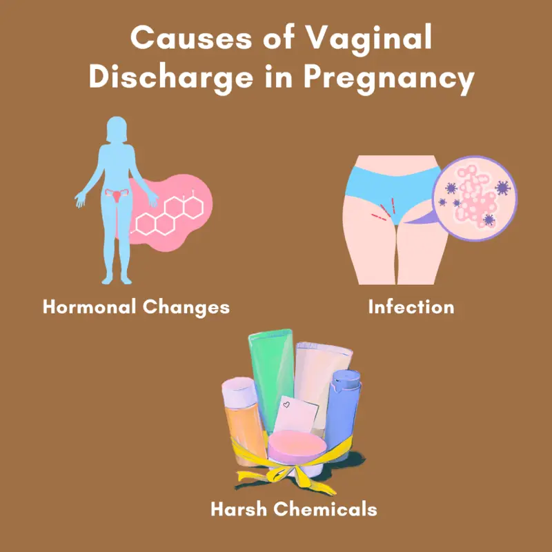 Causes of Vaginal Discharge in Pregnancy