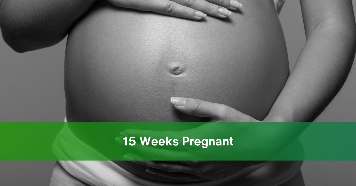 15 weeks pregnant