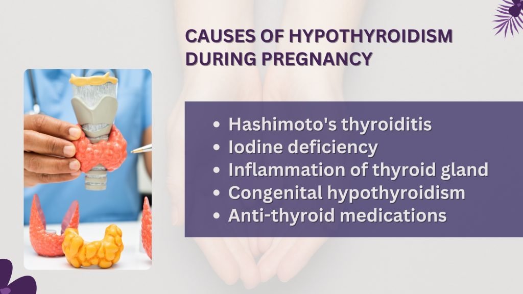 causes of Hypothyroidism - Pregnancy