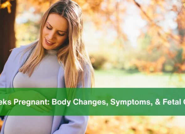 16 Weeks Pregnant - body changes, symptoms and fetal growth