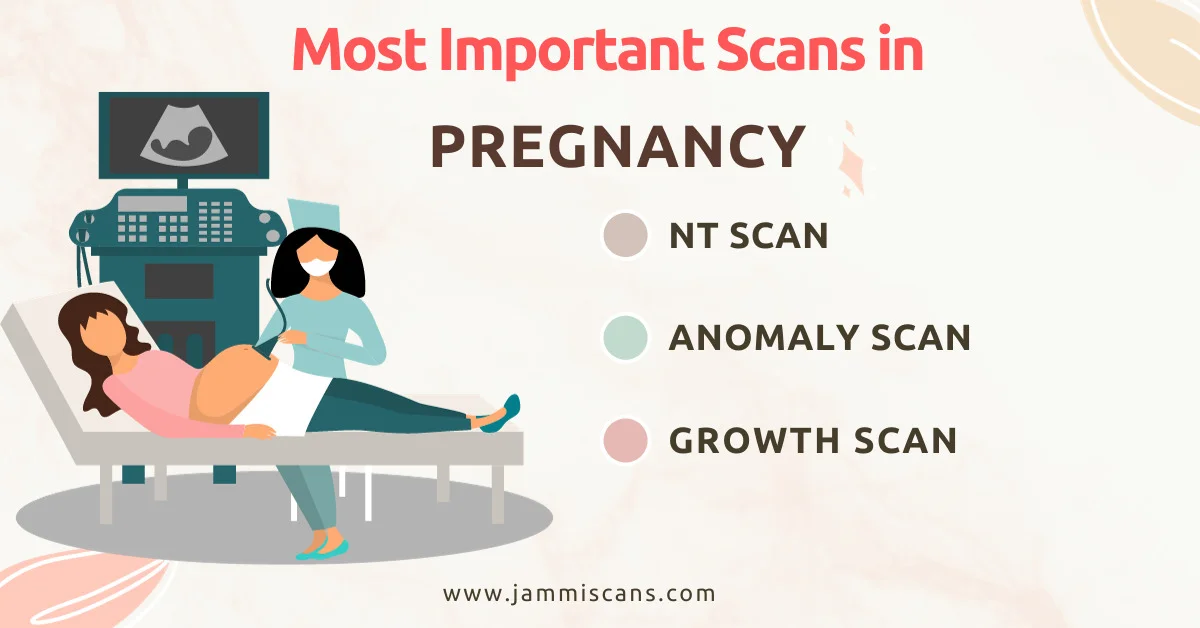 most important scans in pregnancy