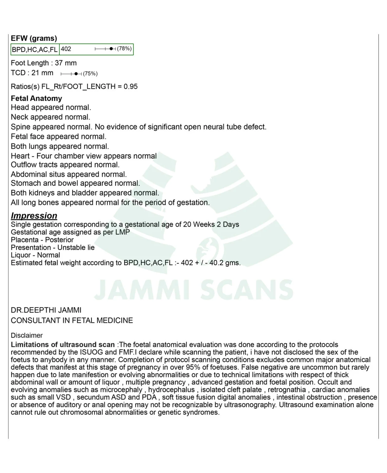 anomaly-scan-report-1-1259x1536